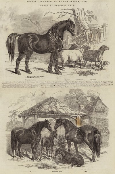 Premios otorgados en Northampton, 1847 de Harrison William Weir